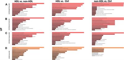 Defining Molecular Treatment Targets for Bladder Pain Syndrome/Interstitial Cystitis: Uncovering Adhesion Molecules